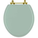 Ver imagem 1 de Assento Sanitário Convencional Oval Universal Verde Claro com Ferragem Dourada