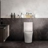 Vaso Sanitário Monobloco Kit Privada com Assento Completo Branco (gvs55mbsfb-br) - 6