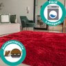 Tapetes Macios e Felpudos Quarto/Sala Sortidos Cor: Vermelho;Tamanho: 200x140cm - 4