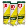 Bola de Tênis Wilson Championship Regular Duty - Pack C/3 Tubos - 1
