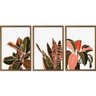 Quadros Decorativos Floral Minimalista II Sem Vidro - 1