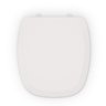Assento Sanitário Polipropileno Like/art Pergamon Celite - 3