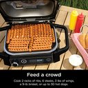 Ver imagem 5 de Ninja Woodfire Pro 7em1 Grill & Smoker com Termômetro Cinza
