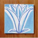 Ver imagem 1 de Lírios Azuis