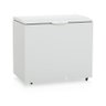 Conservador Horizontal Tampa Balanceada Skin 306l Ghbs-310 - Gelopar - 1