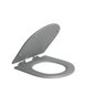 Assento Poliéster Slow Close com Protekto 237 Cinza Fosco - 1