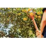 Colhedor de Frutas com Cabo de 145cm - 1
