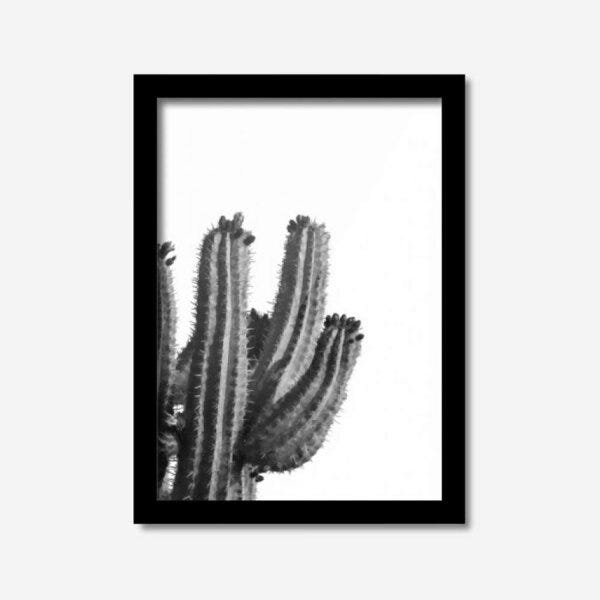 Quadro Decorativo Cactus Preto e Branco 45cmx33cm Los Quadros - 1