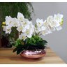 Arranjo Centro De Mesa 2 Orquídeas Brancas Vaso Completo - 3
