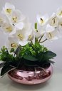 Ver imagem 4 de Arranjo Centro De Mesa 2 Orquídeas Brancas Vaso Completo