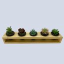 Ver imagem 2 de Mini Jardineira Suculentas Madeira Maciça Pinus + Vasos Plásticos