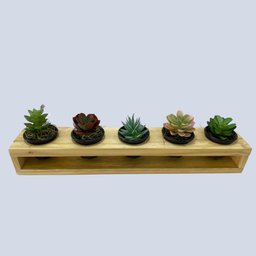 Mini Jardineira Suculentas Madeira Maciça Pinus + Vasos Plásticos - 2