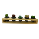 Ver imagem 1 de Mini Jardineira Suculentas Madeira Maciça Pinus + Vasos Plásticos