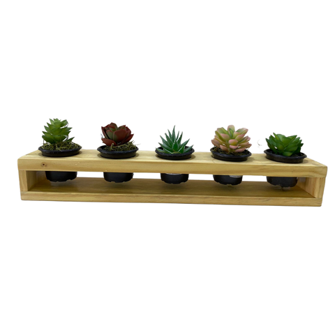 Mini Jardineira Suculentas Madeira Maciça Pinus + Vasos Plásticos