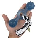 Ver imagem 1 de Brinquedo Mordedor Pet Halteres Cristal Com Corda Médio: Azul
