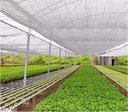 Ver imagem 5 de Tela Sombreamento Hortas/hortaliças Freshnet 4m X 1m Acabamento