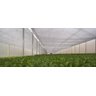 Tela Sombreamento Hortas/hortaliças Freshnet 4m X 1m Acabamento - 7