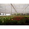 Tela Sombreamento Hortas/hortaliças Freshnet 4m X 1m Acabamento - 6