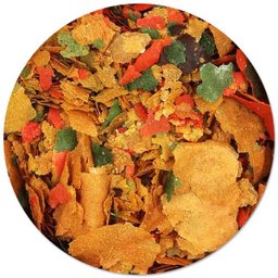 Ração Para Peixes Ornamentais Super Red Flocos 1kg - 4