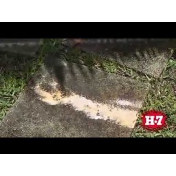 Desengraxante Multiuso Limpeza Pesada 1l H7 - 3