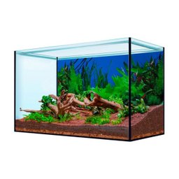 Painel para Aquários Fundo Azul e Plantas 30cm X 200cm Pp-081 - 2