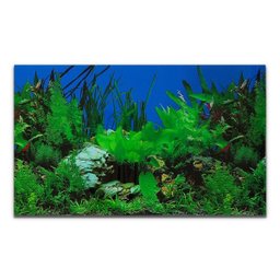 Painel para Aquários Fundo Azul e Plantas 30cm X 200cm Pp-081 - 1