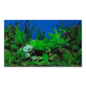 Painel para Aquários Fundo Azul e Plantas 30cm X 200cm Pp-081
