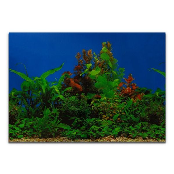 Painel para Aquários Fundo Azul e Plantas 50cm x 200cm PP-083