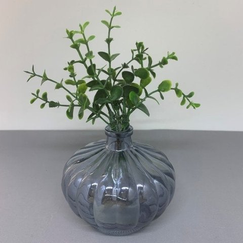 Vaso de vidro com brilho e planta