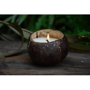 Vela Sustentável e Vegana 100% Natural de Bambu