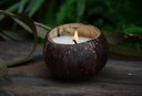 Ver imagem 1 de Vela Sustentável e Vegana 100% Natural de Bambu