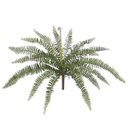 Ver imagem 1 de Arranjo F.Samambaia C/Print Verde 49cm 38995001 Flor Arte