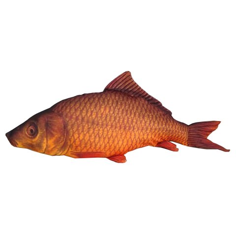 Almofada Peixe Carpa