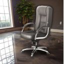 Ver imagem 1 de Cadeira de Escritório Venire Martiflex Claro