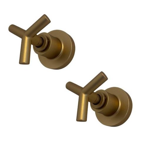 Kit 2 Acabamento Registro Dourado Fosco Banheiro Padrão Deca 3/4 C55