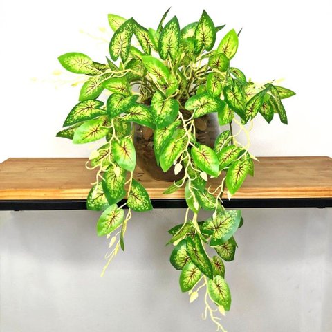 Planta Artificial Realista Caladium Arranjo Pronto Vaso de Vidro