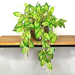 Planta Artificial Realista Caladium Arranjo Pronto Vaso de Vidro - 3