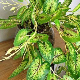 Planta Artificial Realista Caladium Arranjo Pronto Vaso de Vidro - 2