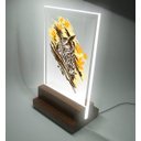 Ver imagem 2 de Abajur e Luminária Decorativa Coruja