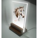 Ver imagem 2 de Abajur e Luminária - Cavalo - Horse