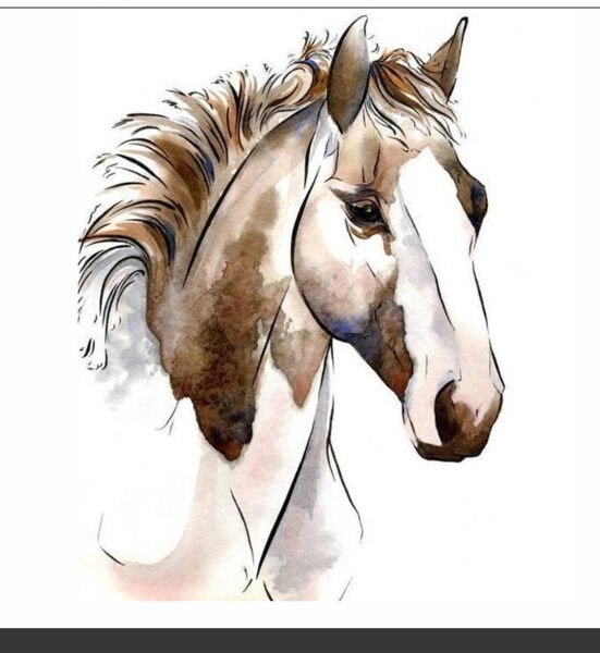 Abajur e Luminária - Cavalo - Horse - 3