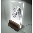 Ver imagem 2 de Abajur e Luminária - Cavalo - Horse
