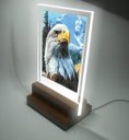 Ver imagem 2 de Abajur e Luminária Decoração - Águia - Eagle 2