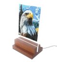 Ver imagem 1 de Abajur e Luminária Decoração - Águia - Eagle 2