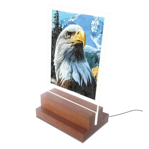 Abajur e Luminária Decoração - Águia - Eagle 2