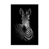Quadro Deu Zebra Luxo - Tela Única - 120 x 90 cm - Branca - 2