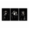 Quadro Macacos Sábios Preto e Branco Animal Divertido - Kit 3 telas - 150 x 100 cm - Chassi - 1