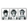Quadros Macacos Sábios Moderno - Kit 3 Tela - 150 x 100 cm - Chassi - 1