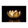Quadro Lotus Gold - Tela Única - 180 x 105 cm - Preta - 2