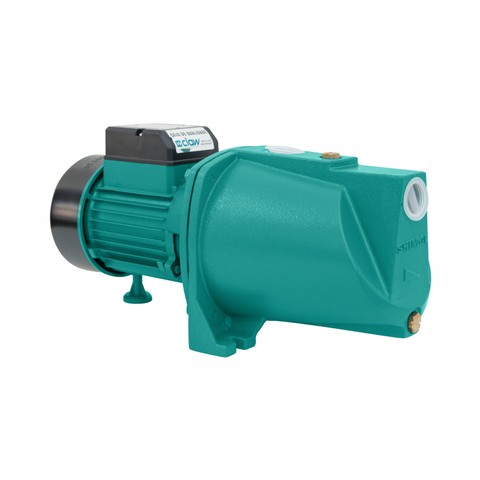 Moto Bomba Autoaspirante de Ferro Fundido Sgjw75 Claw Premium